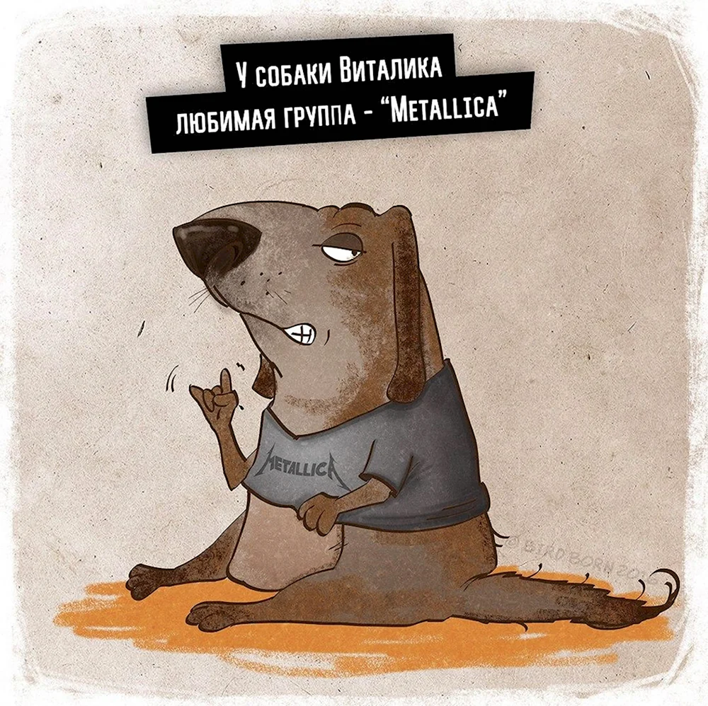 Собака Виталик