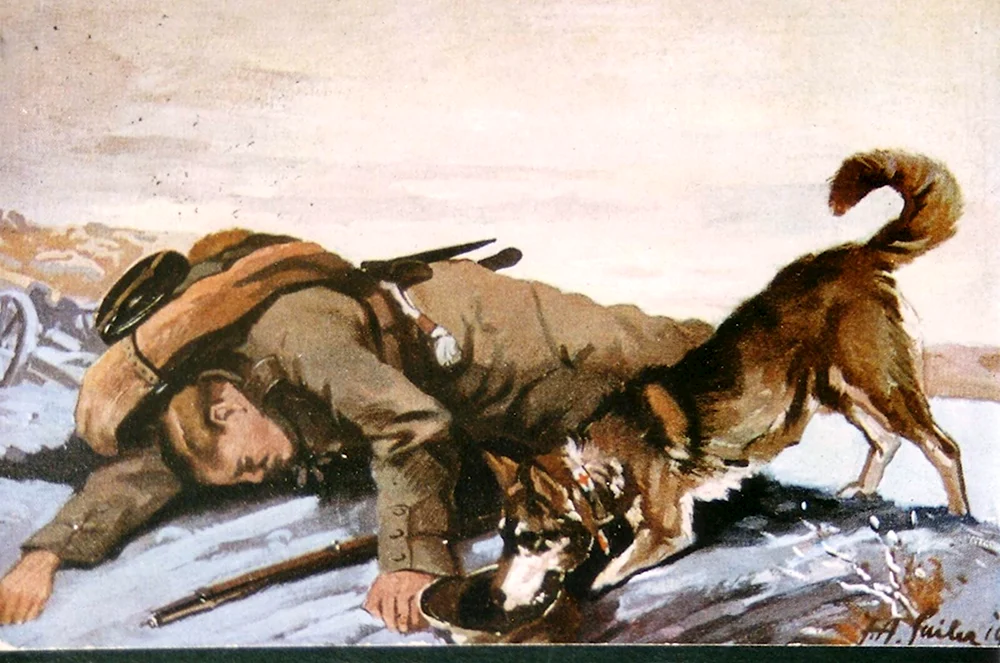 Собаки-санитары в Великой Отечественной войне