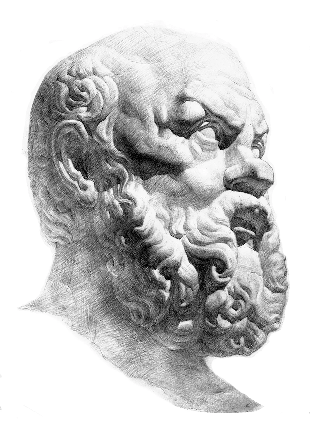 Сократ голова гипсовая Марх