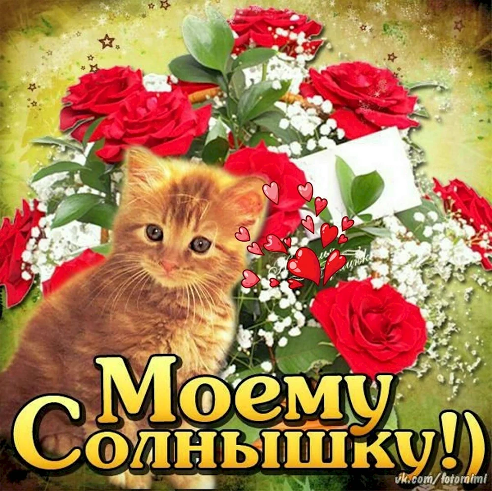 Солнышко моё