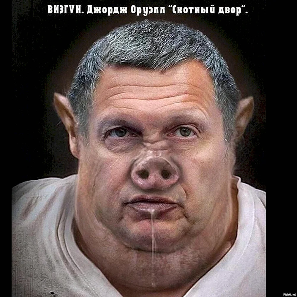 Соловьёв Владимир Свин