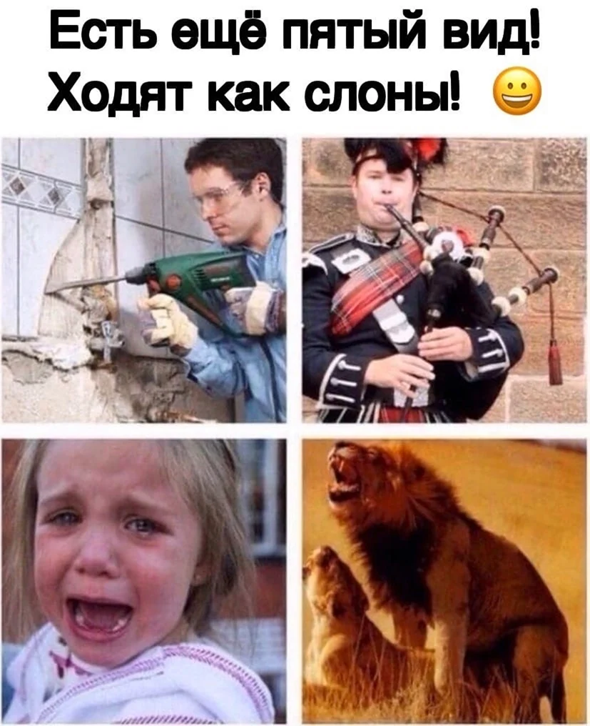 Соседи делятся на 4