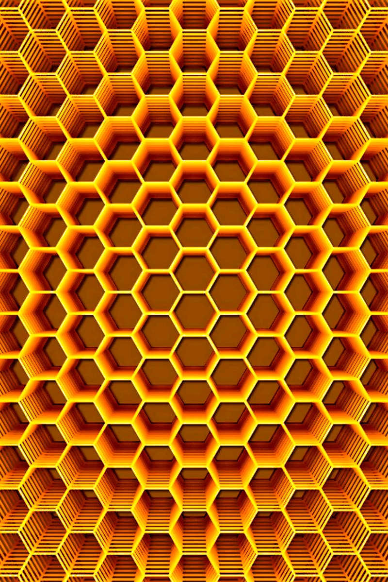 Соты пчелиные сбоку