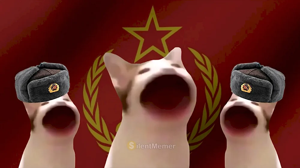 Soviet Pop Cat