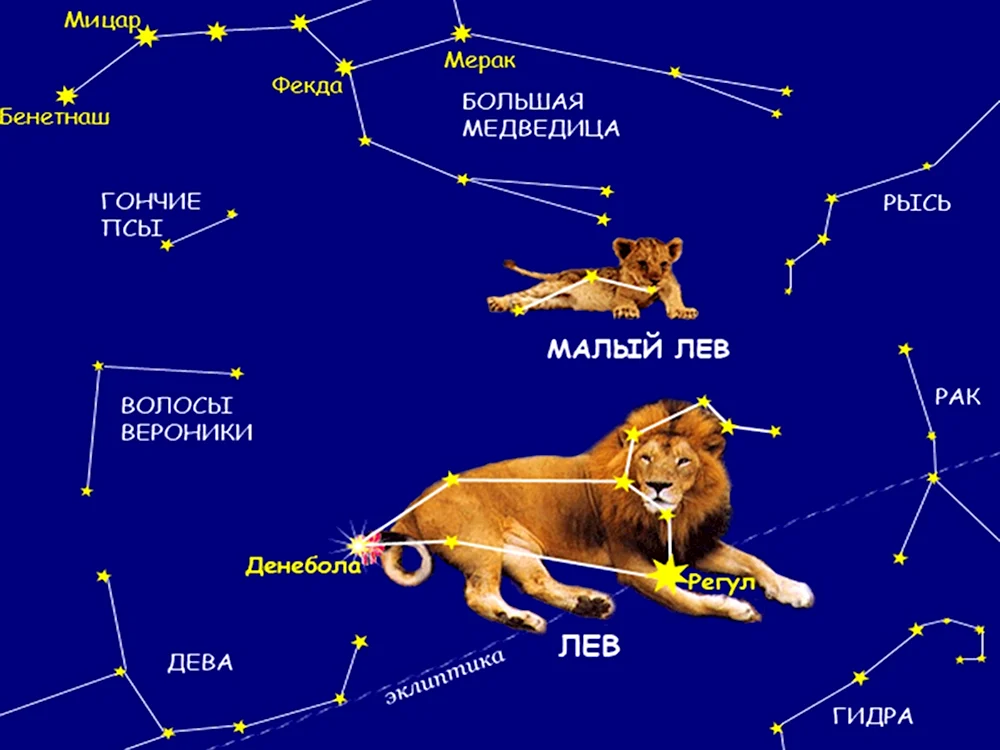 Созвездие Льва на карте звездного неба