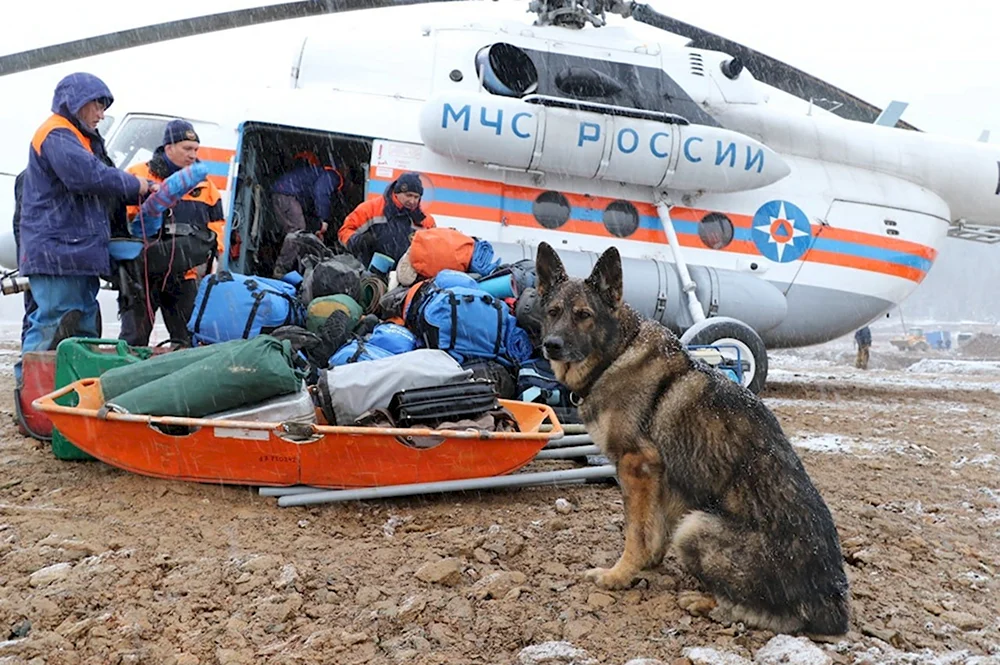 Спасательные операции МЧС России