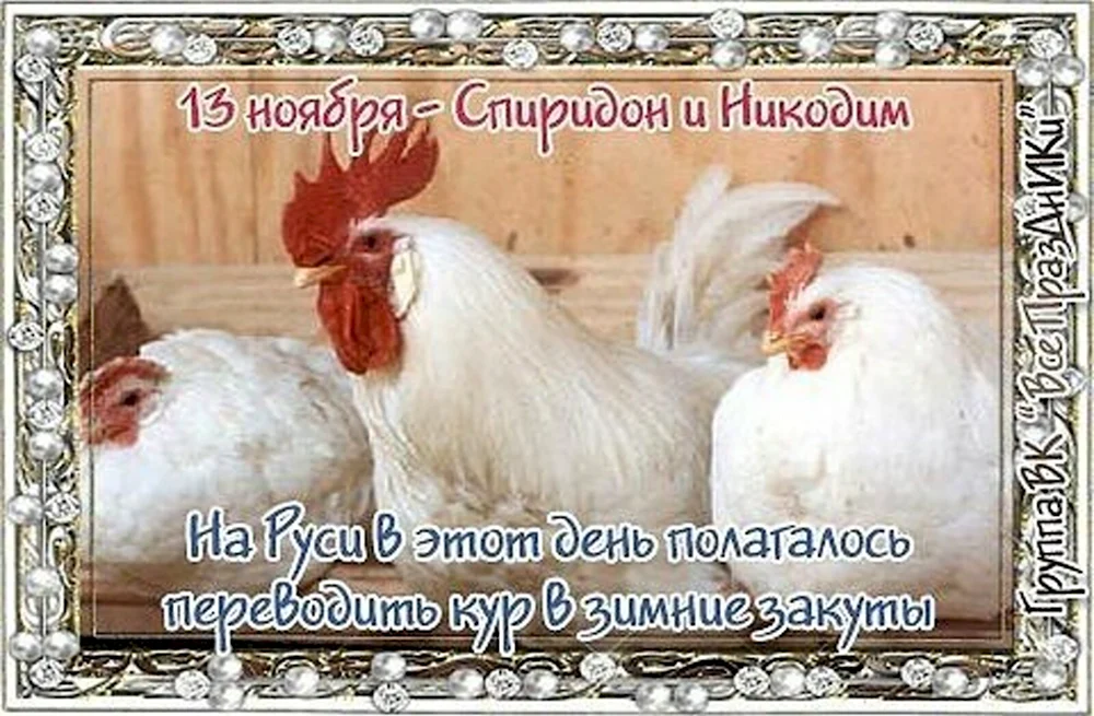 Спиридон и Никодим 13 ноября