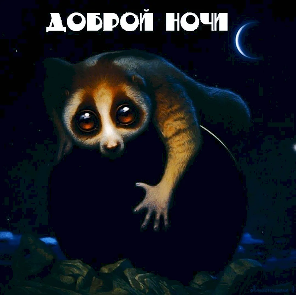 Спокойной ночи