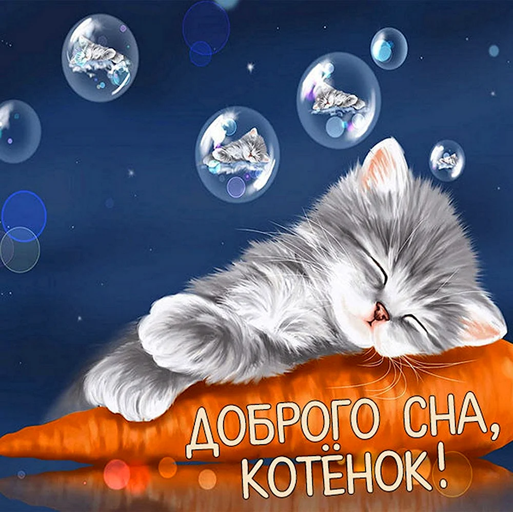 Спокойной ночи котик