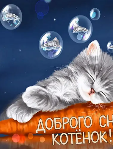 Спокойной ночи котик