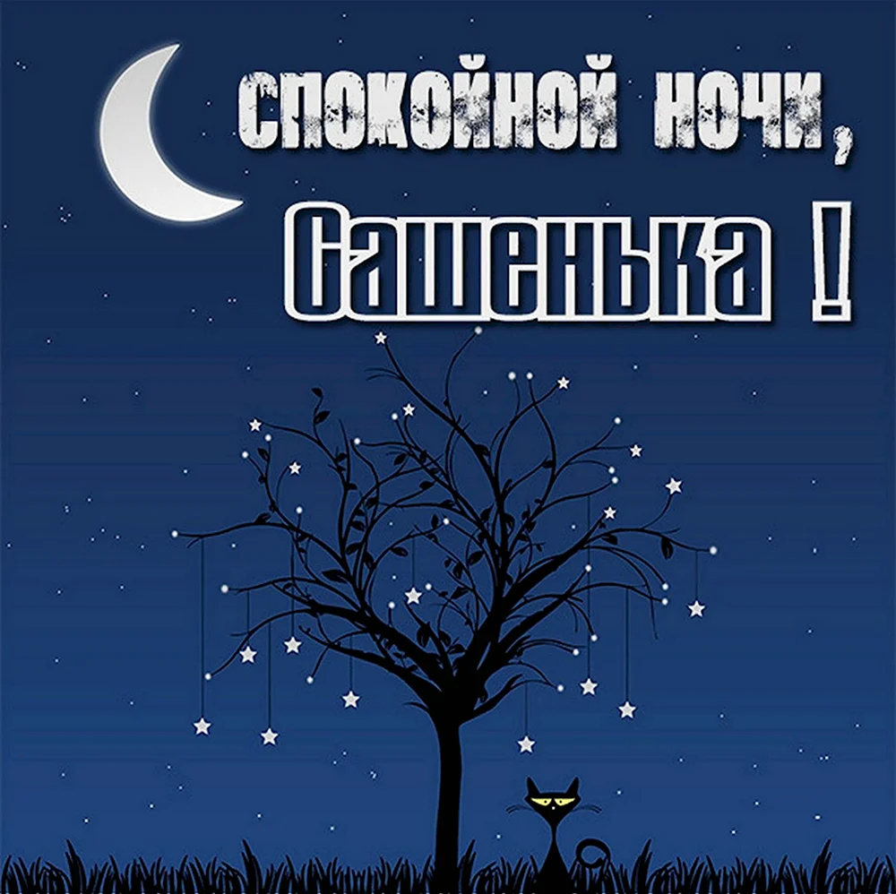 Спокойной ночи Сашенька