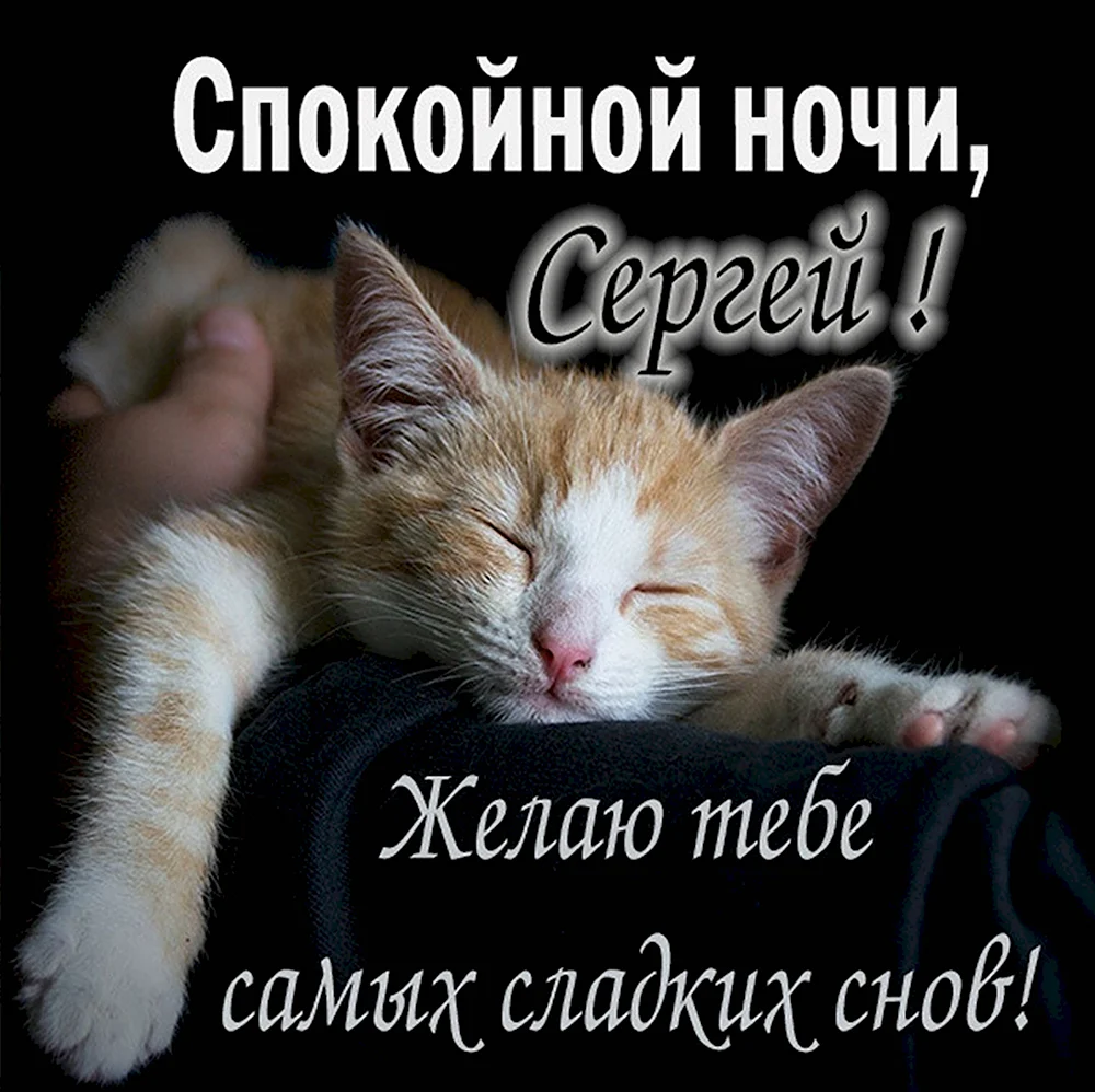 Спокойной ночи Светлана