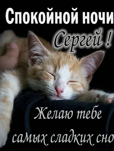 Спокойной ночи Светлана