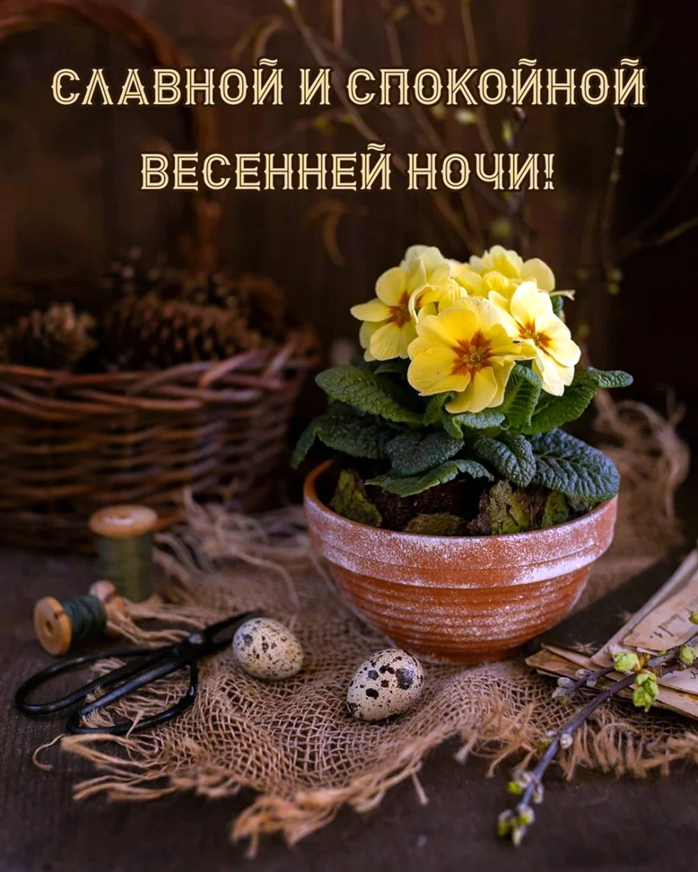 Спокойной ночи Весна