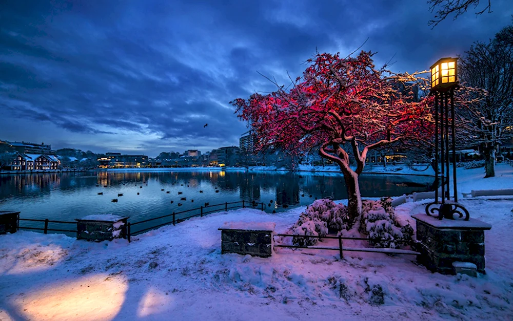 Stavanger Норвегия зима