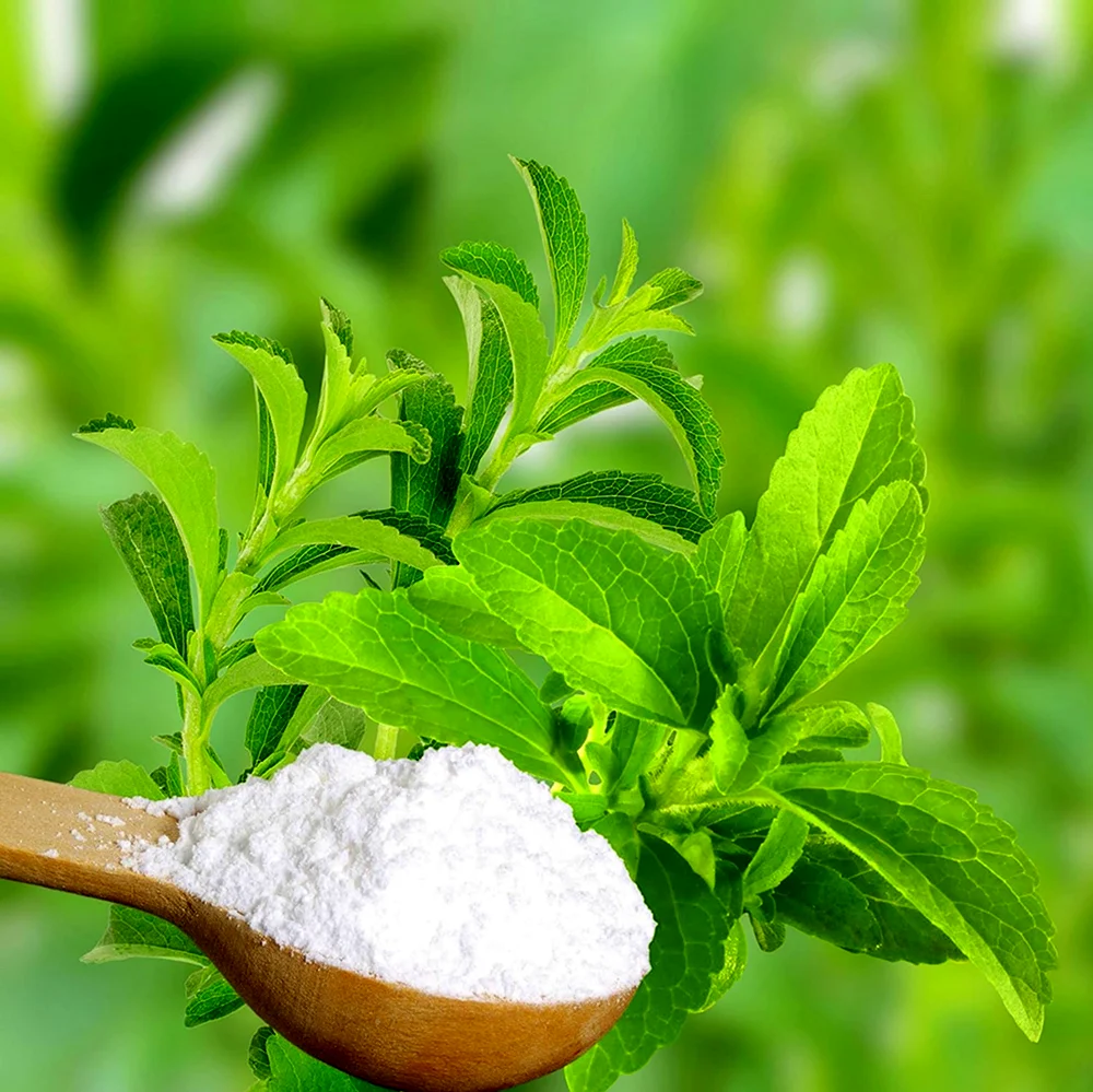 Natural sugars. Stevia rebaudiana. Стевия усимлиги. Стевия медовая. Стевия куст.