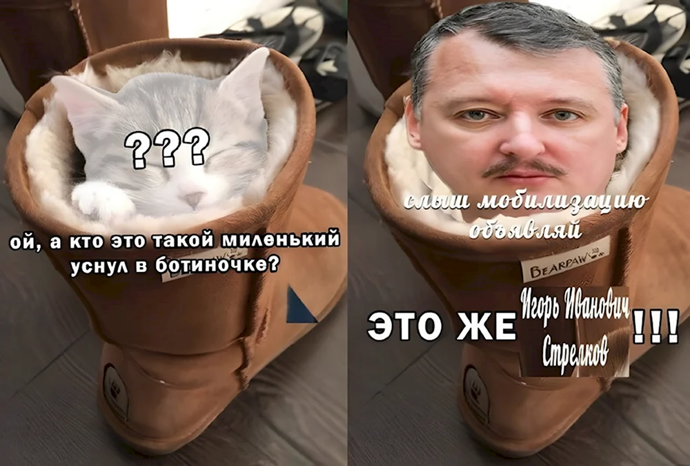 Стрелков мемы про мобилизацию