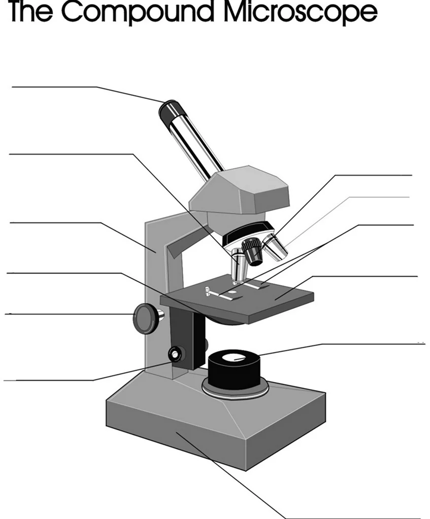 Строение микроскопа макровинт