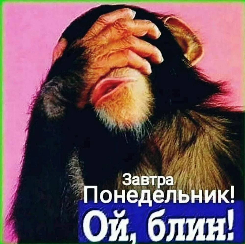 Стыдно