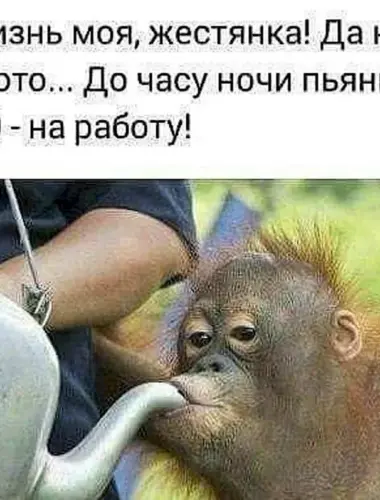 Суббота пьянка