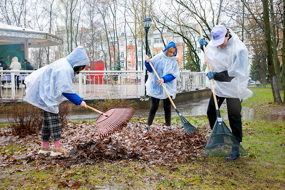 Субботник в Подмосковье