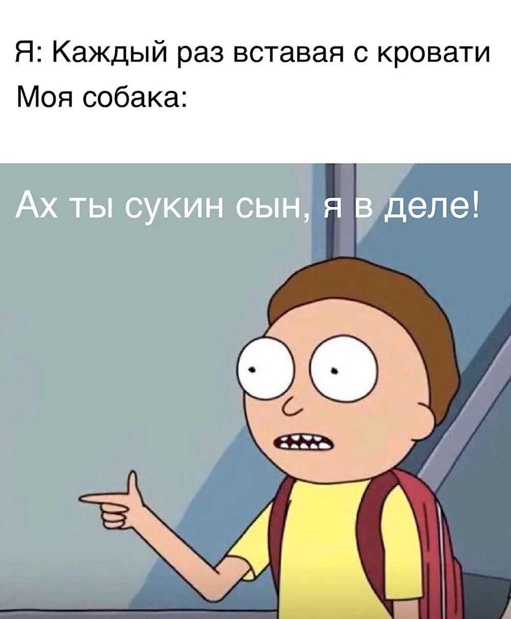 Сукин ты сын я в деле