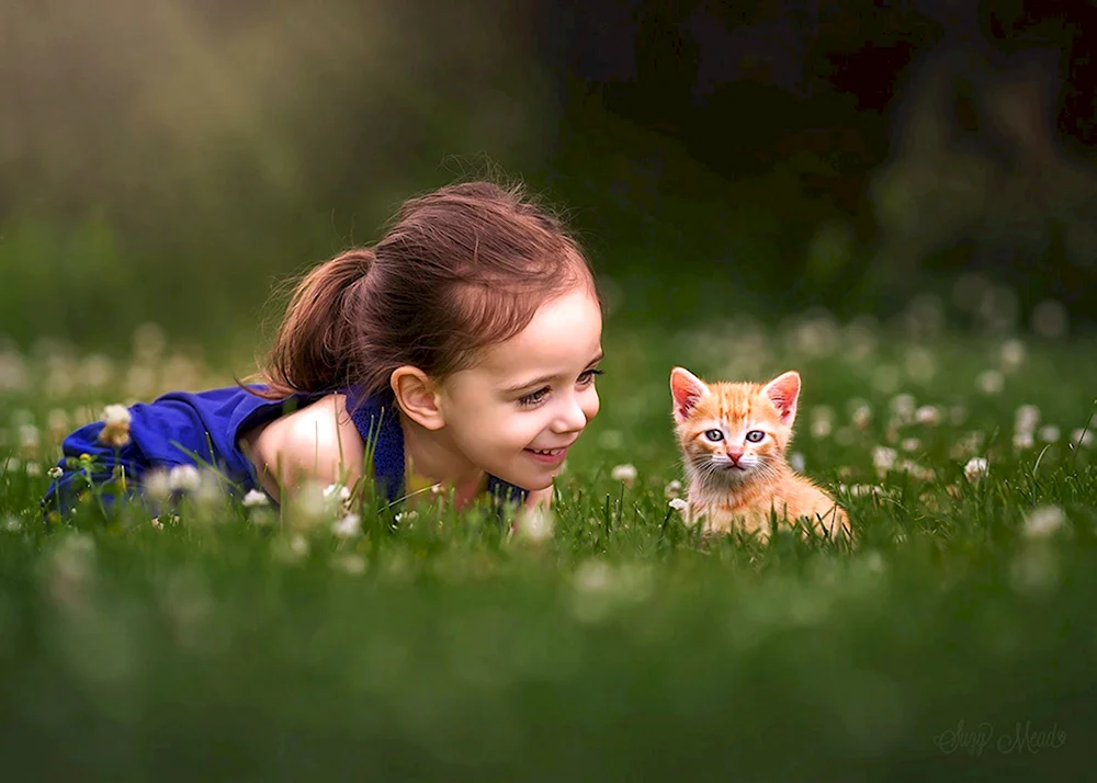 Suzy Mead фотограф