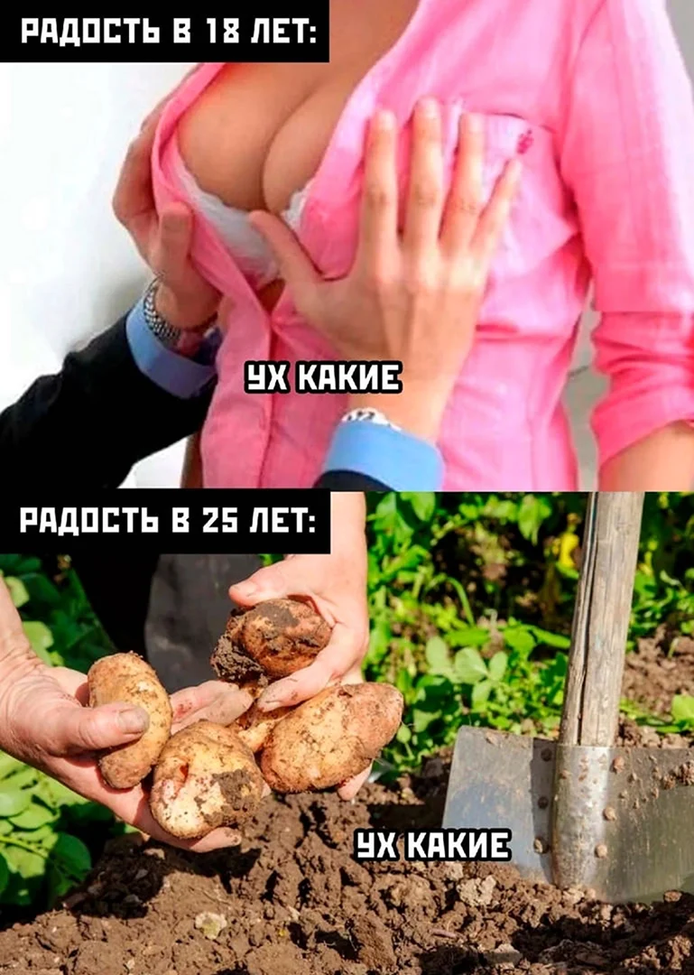 Свежие мемы