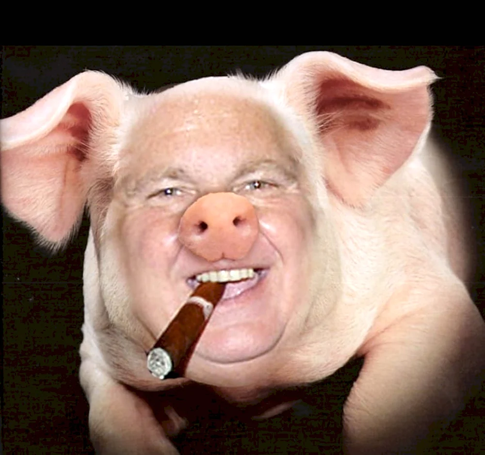 Свинья с сигаретой