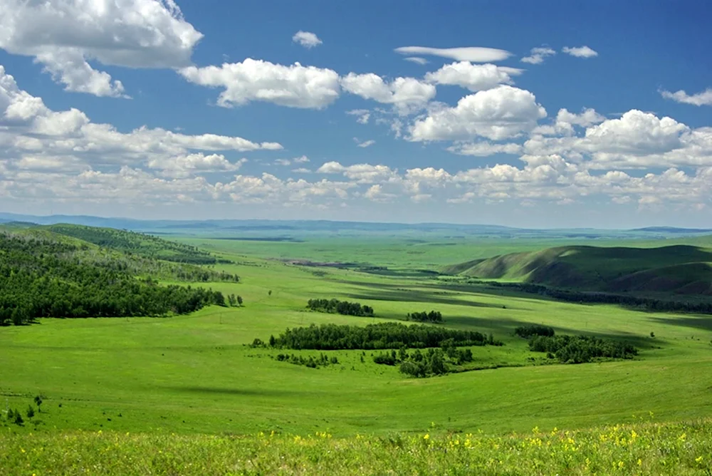 Тайга лесостепь степь Красноярского края