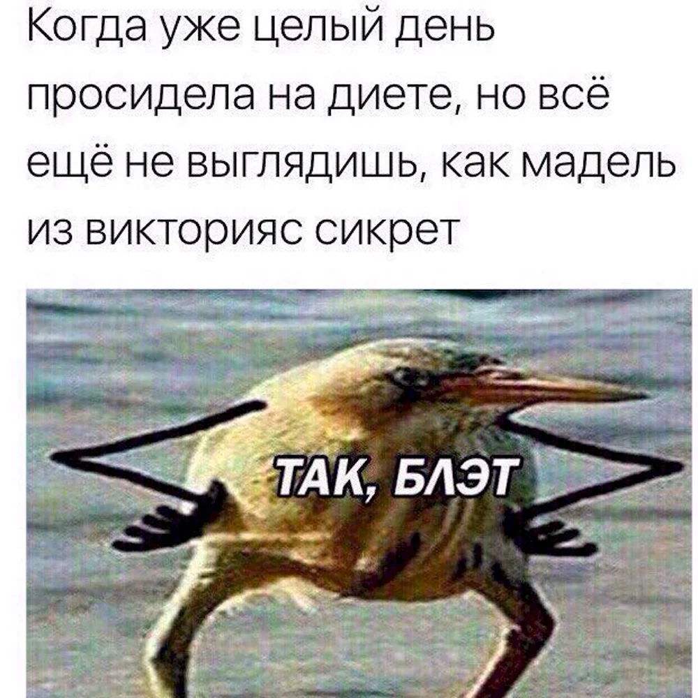 Так блэт птичка