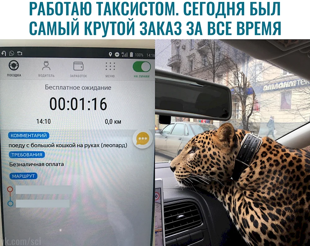 Такси прикол