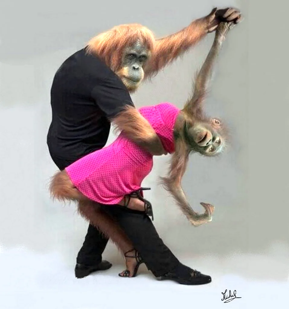 Танцующая обезьянка