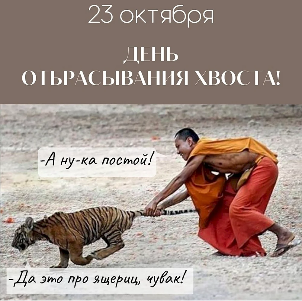 Тащит за хвост