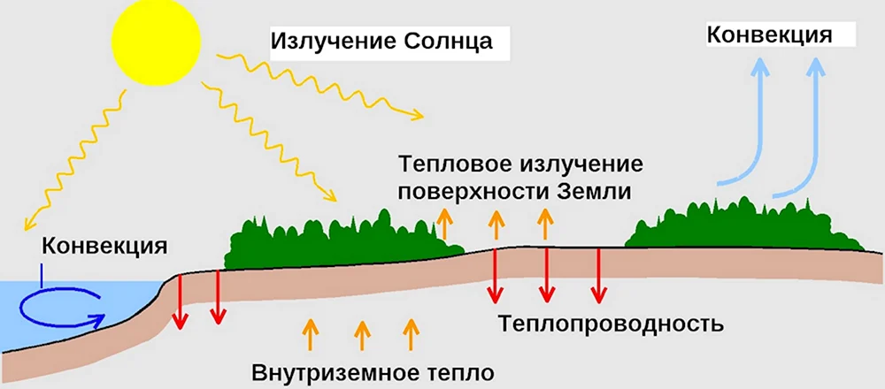 Теплопередача в природе