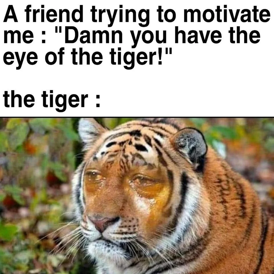 Тигр Мем