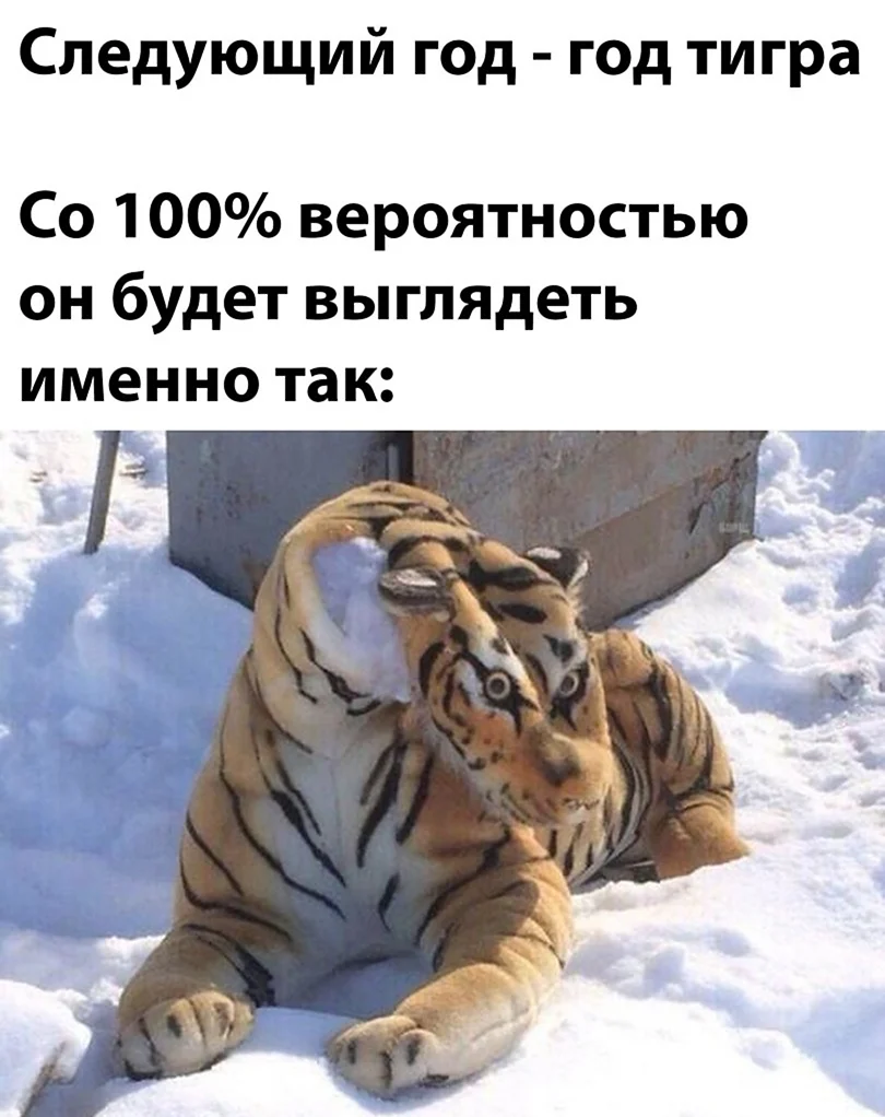 Тигр мемы
