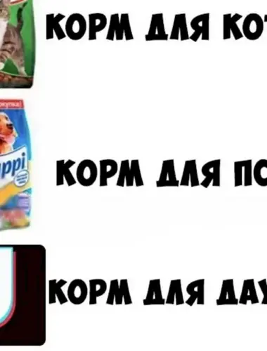 Тик ток корм для даунов