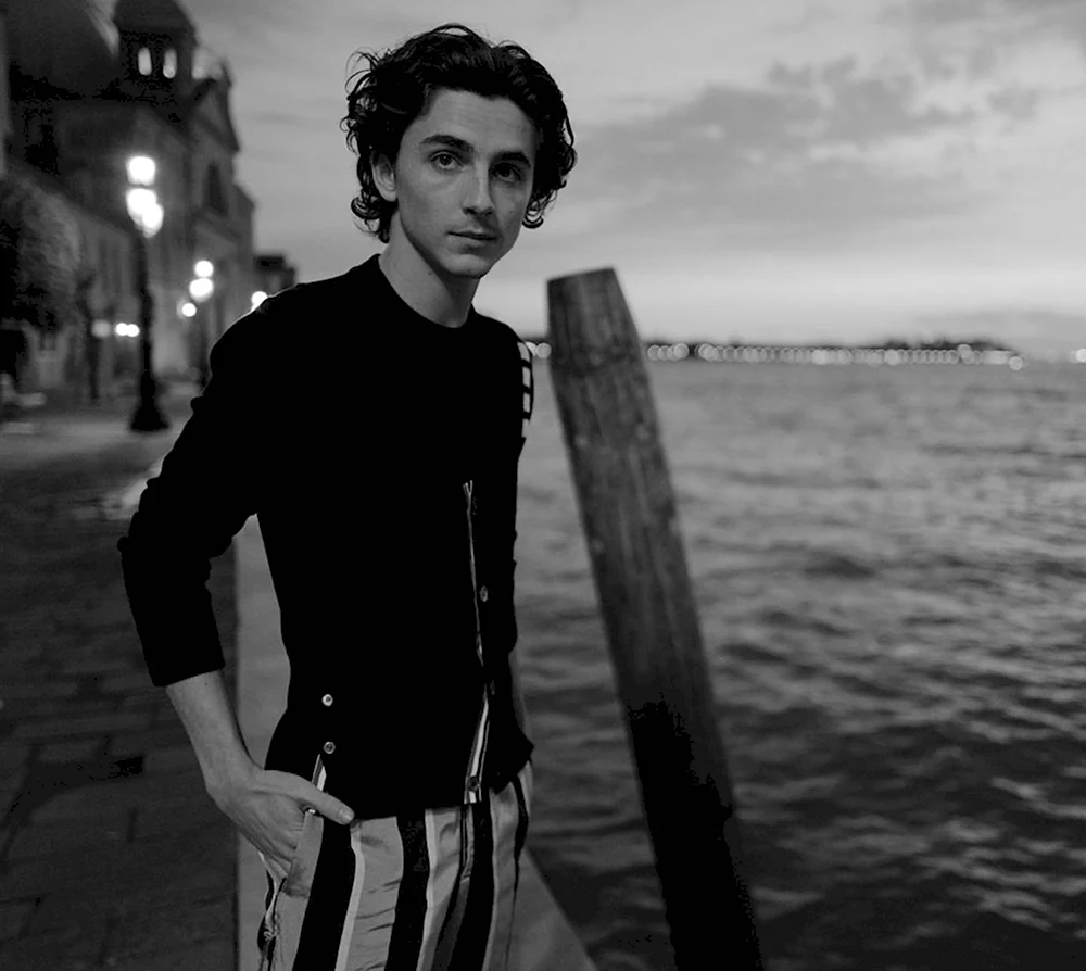 Тимоти Шаламе Timothée Chalamet