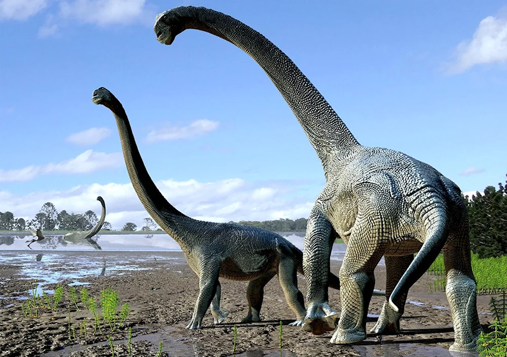 Титанозавр зауропод