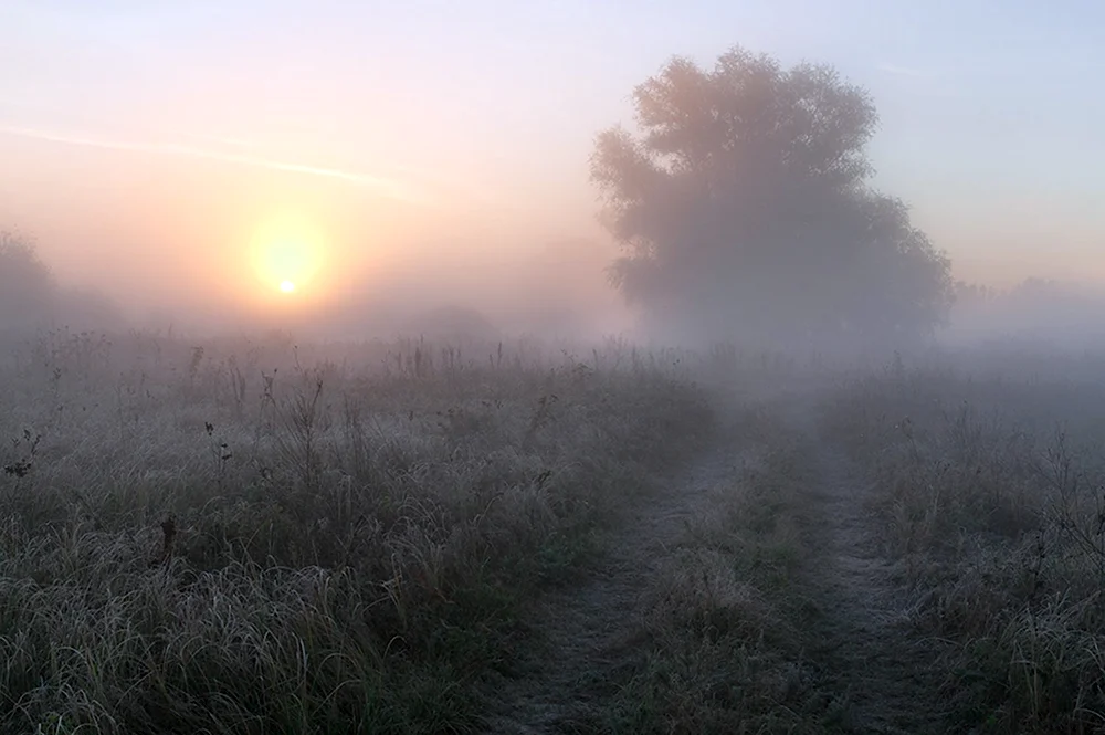 Тюмень Яр туманное утро