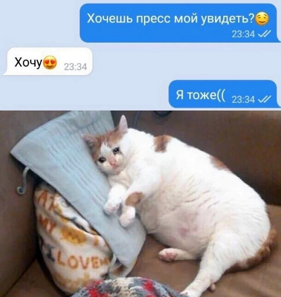 Топовые шутки