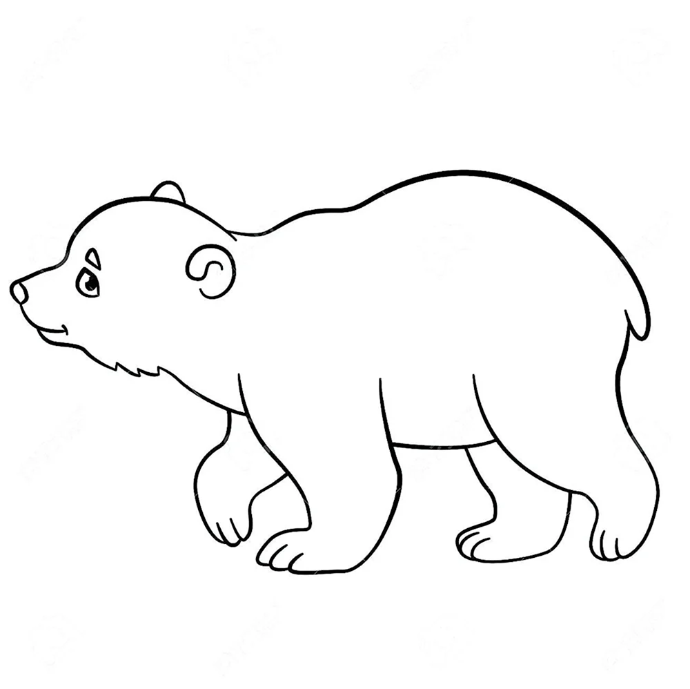 Трафарет белого медведя для аппликации