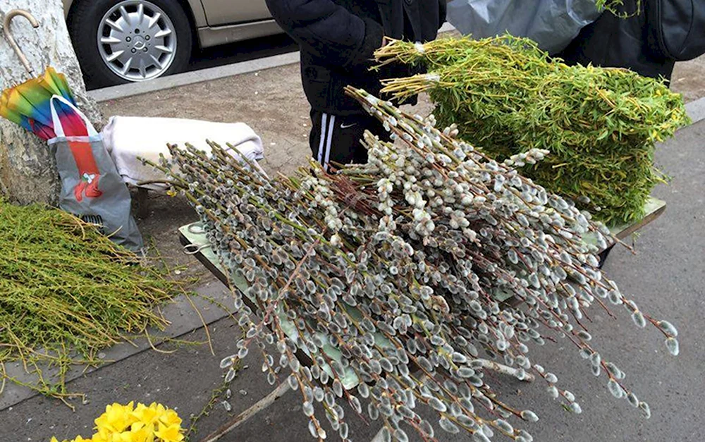 Цахказард Вербное воскресенье