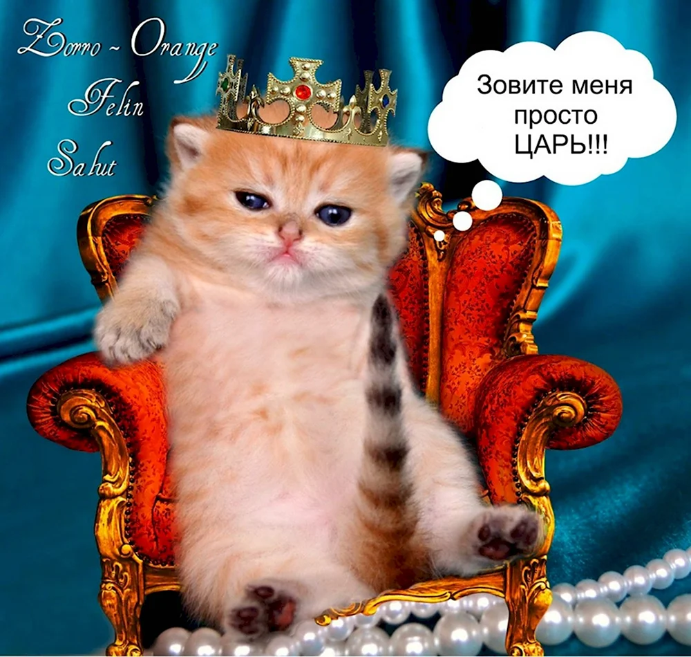 Царский кот