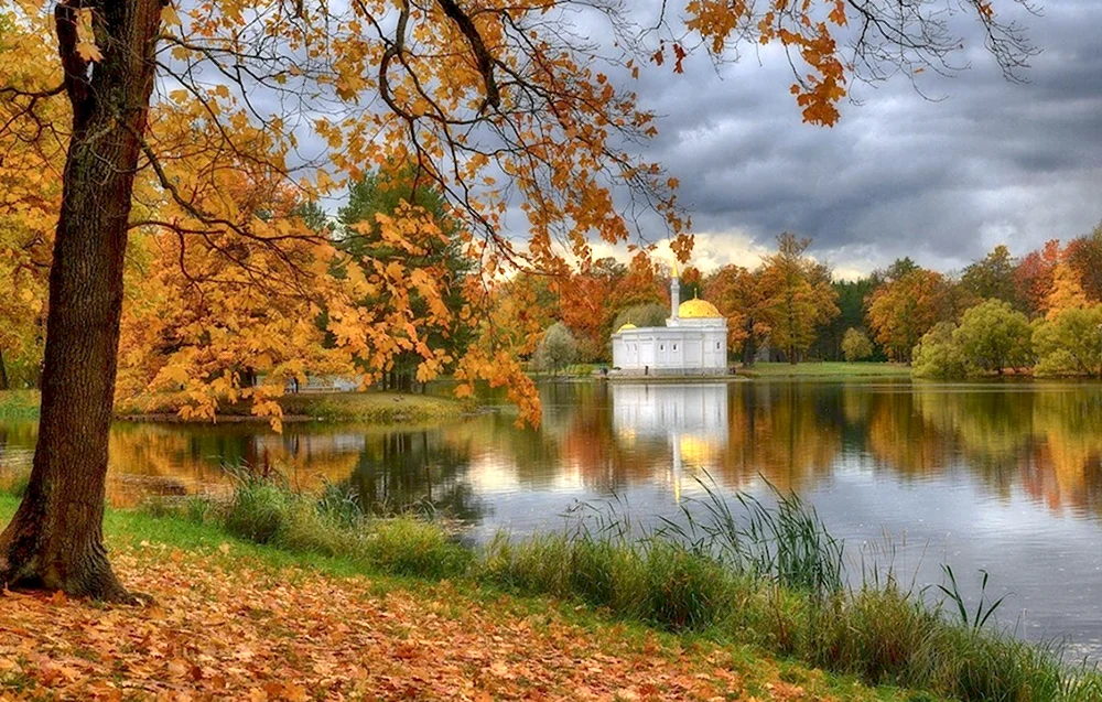 Царское село Пушкин парк пруд