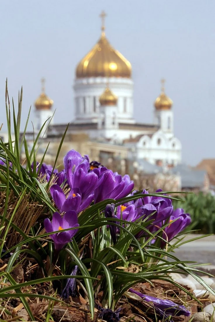 Церковь весной