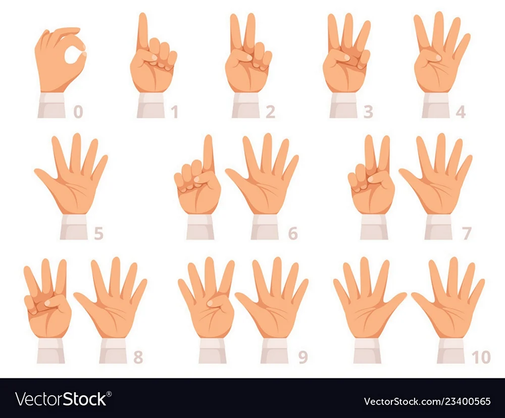Цифры на пальцах