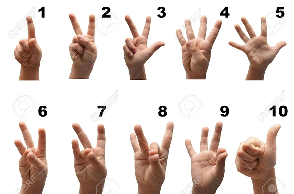 Цифры на пальцах