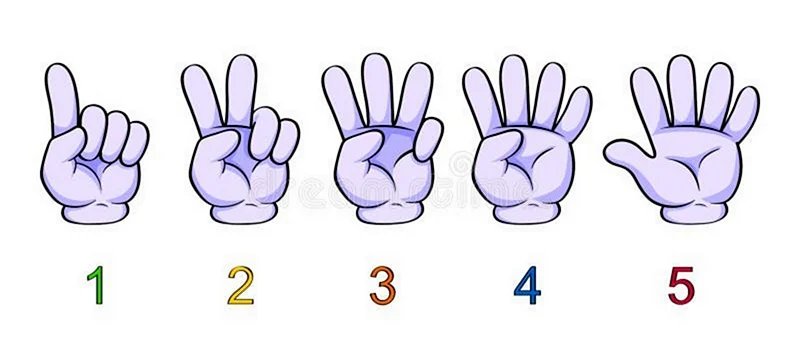Цифры на пальцах для детей